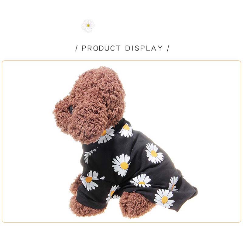 dog clothes next day delivery