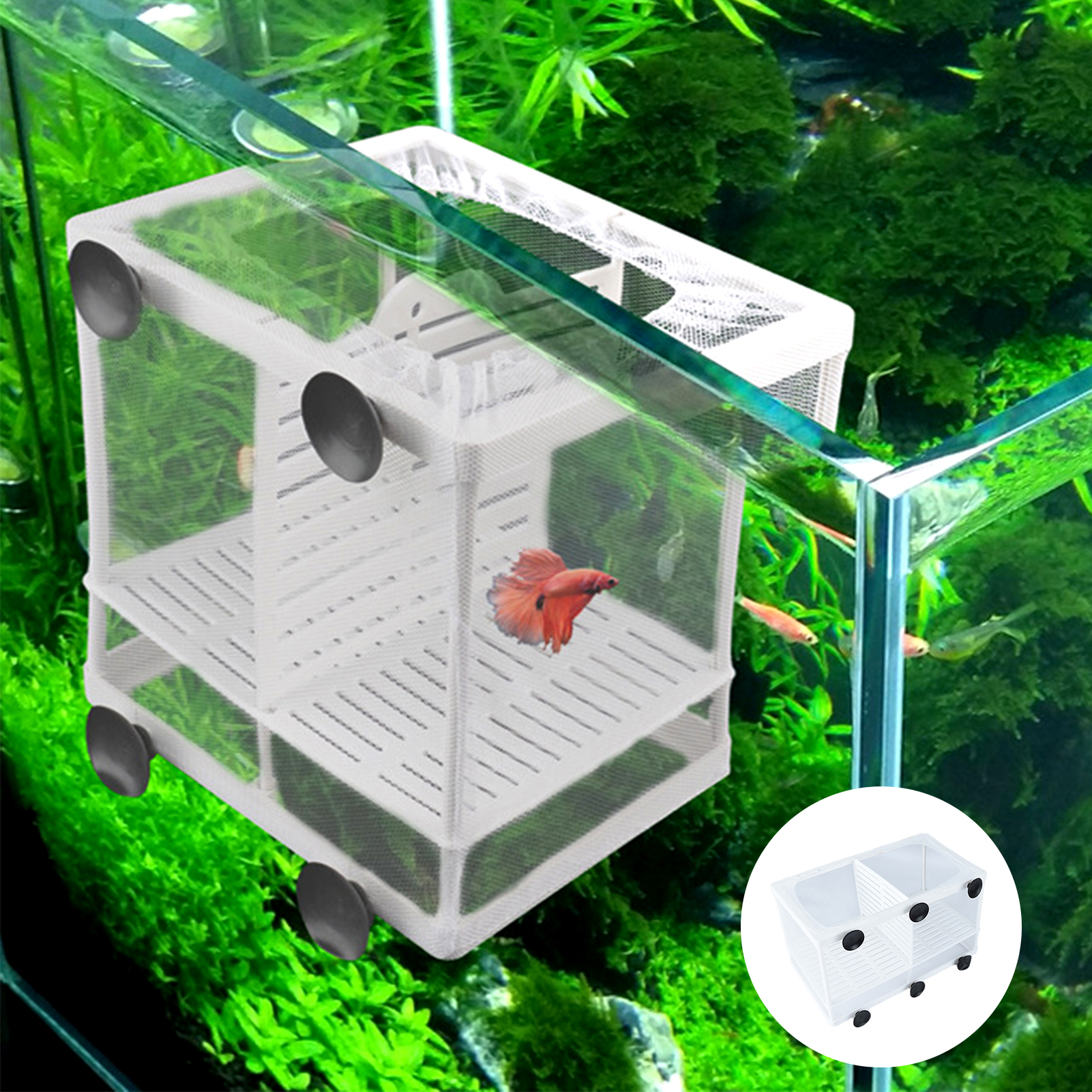 aquarium supplies