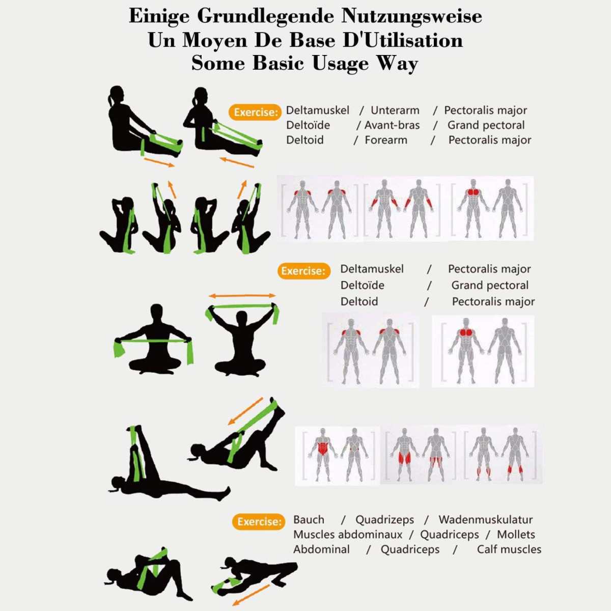 Latex Elastic Rubber Resistance Bands for Upper & Lower Body & Core Exercise at-Home Workouts, and Rehab