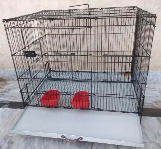 ringneck parrot cage for sale