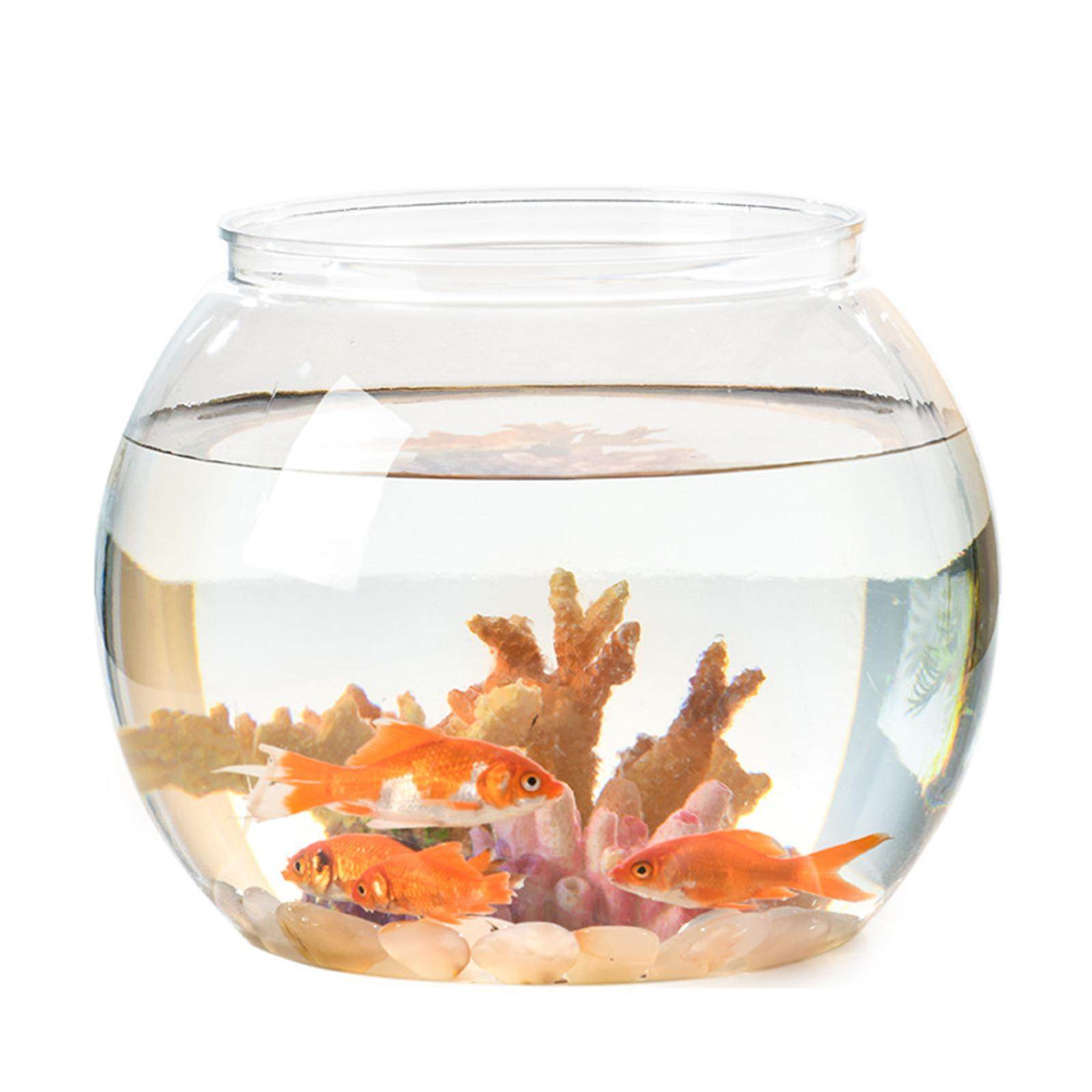 Fish bowl price clearance online