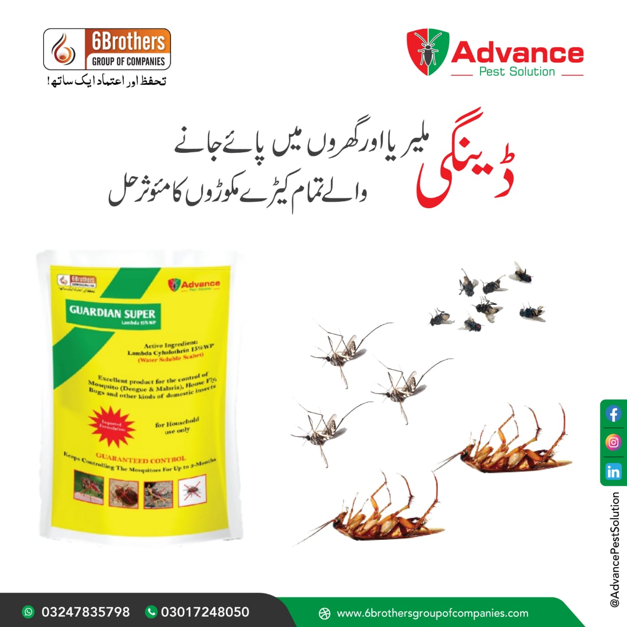 Guardian Insect Ali Guardian Super 15% WP Lembda House Hold Insects killer Chemical Powder ...