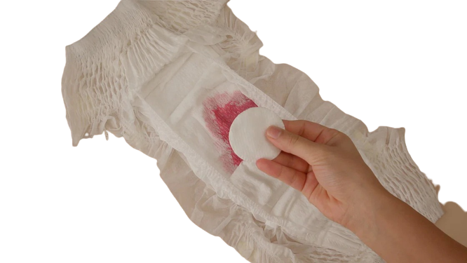 Disposable Period Panty, Women Period Underwear, Postpartum panty, Sanitary Napkin Pants, Menstrual Pull-up Pant