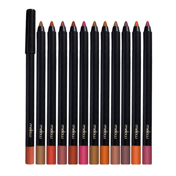 Kylie 4 Pcs Waterproof Long Lasting Lip Color Pencil Set