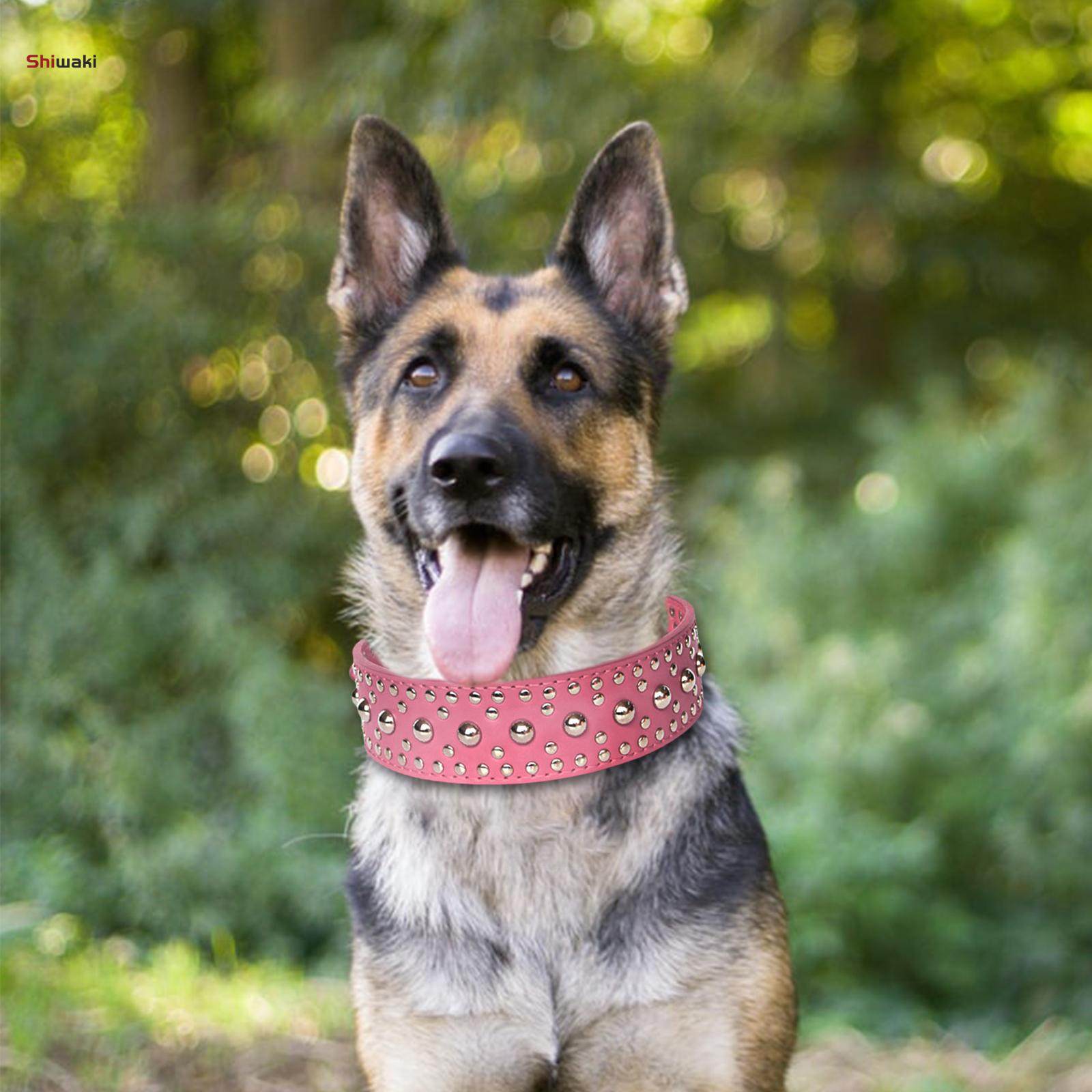 Female german 2025 shepherd collars