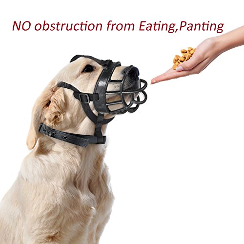 muzzle that allows drinking and eating