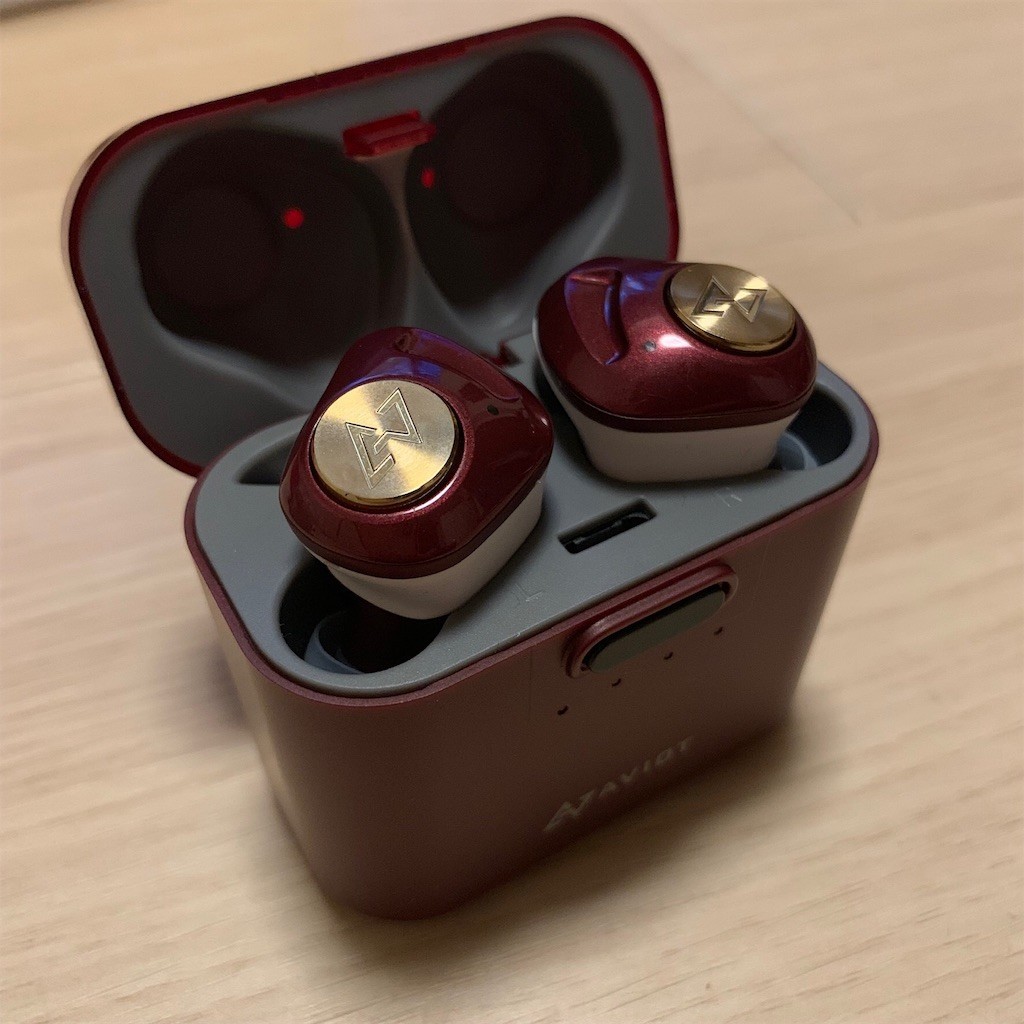 AVIOT TE-D01d mk2 True Wireless Earphone Japan Tuned