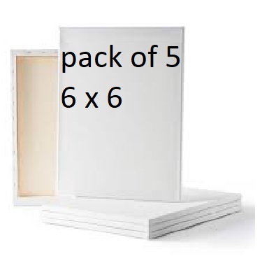 Pack of 5 Canvas for Painting - All sizes For Painting Blank White ...