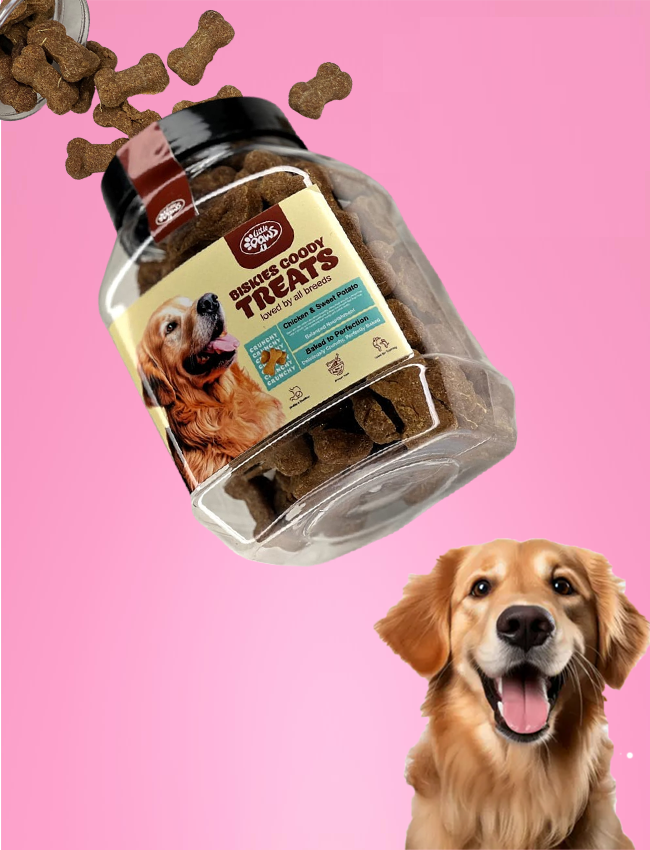 Little Paws Biskies Goody Treats Chicken & Sweet Potato	450 g