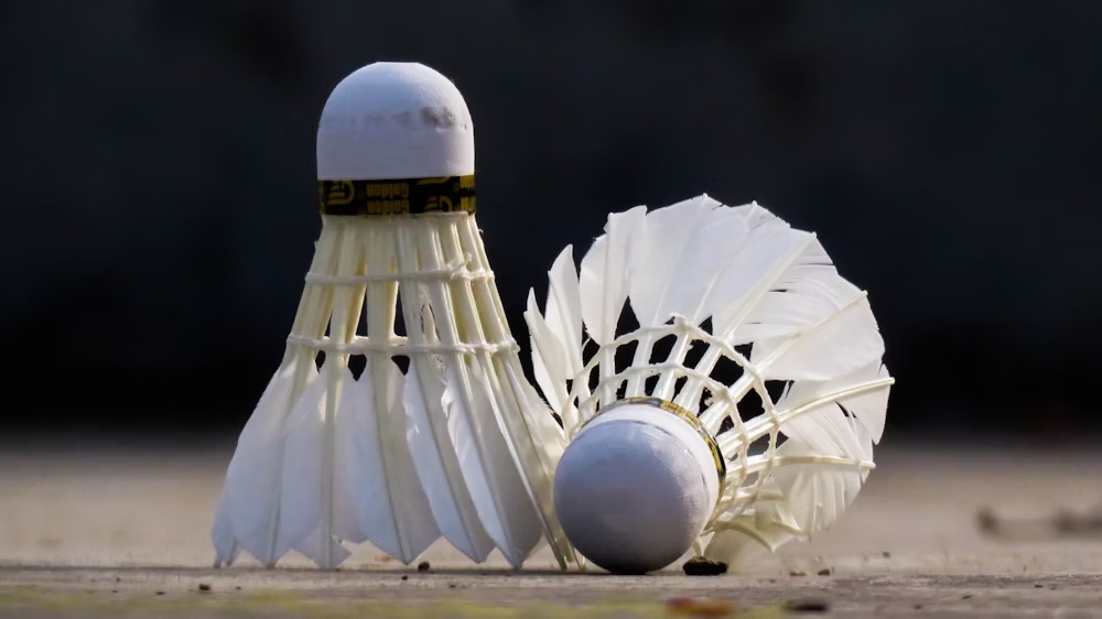 Badminton Feather Shuttles box pack of 12