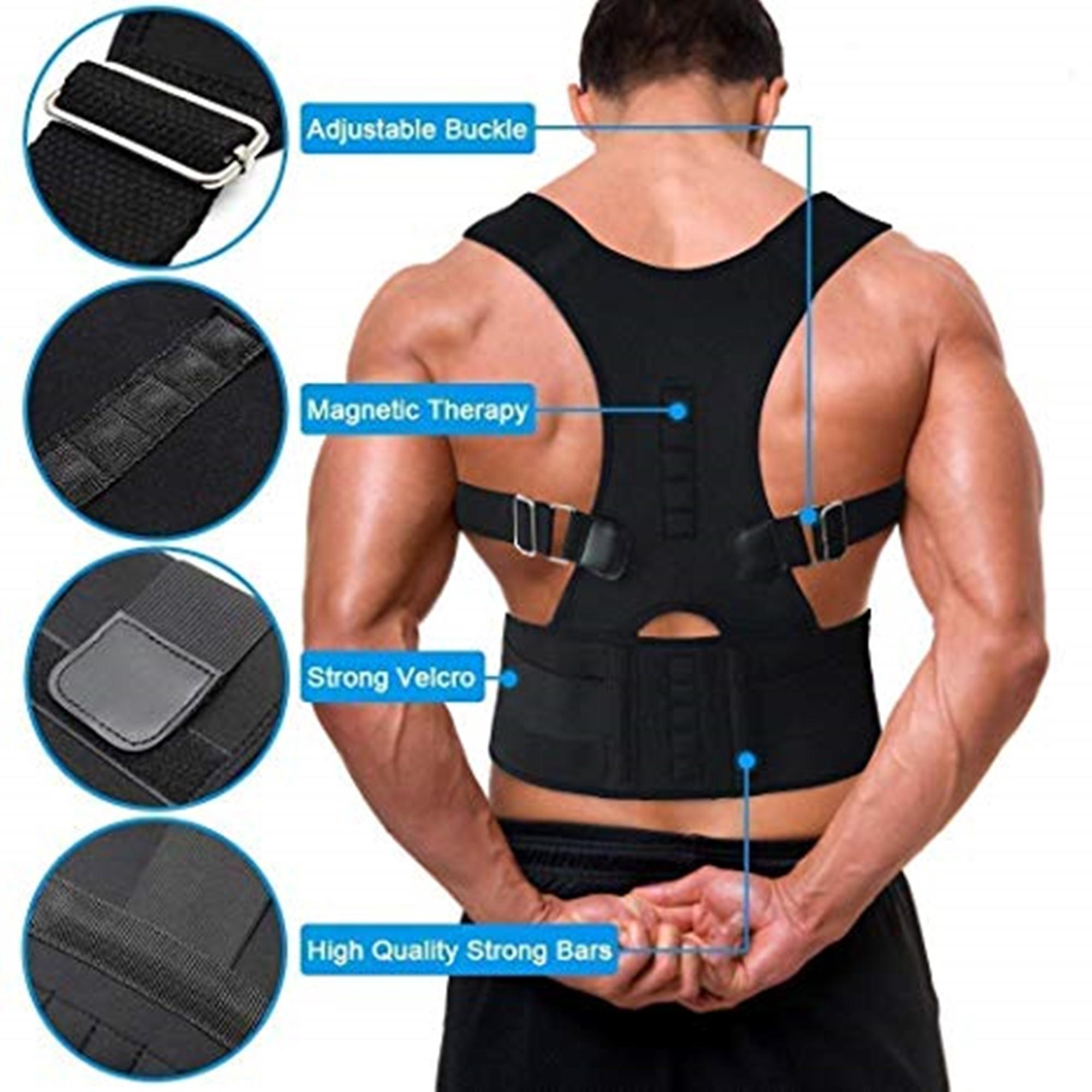 spine support belt
