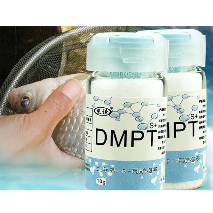 10g DMPT Fishing Bait Additive Powder Carp Attractive Smell Lure