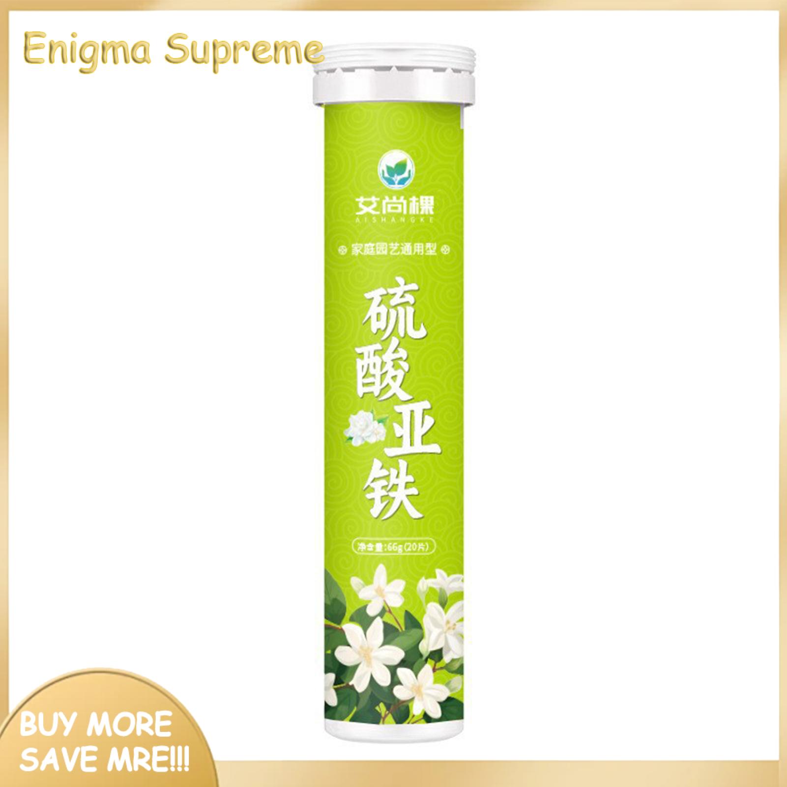 Enigma Tablet Enigma- Nutrient Ferrous Sulfate Tablet 22pcs Ferrous Sulfate ...