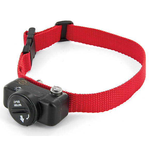 petsmart wireless dog collar