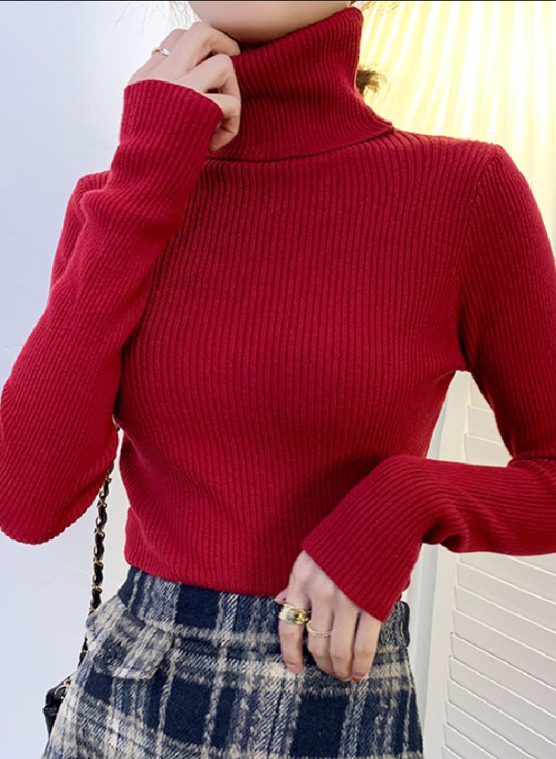Women High Neck for Girls Turtle Neck for Ladies | Warm Ladies High Neck for Winter Season