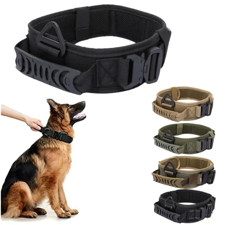 Metal training 2024 collars for dogs