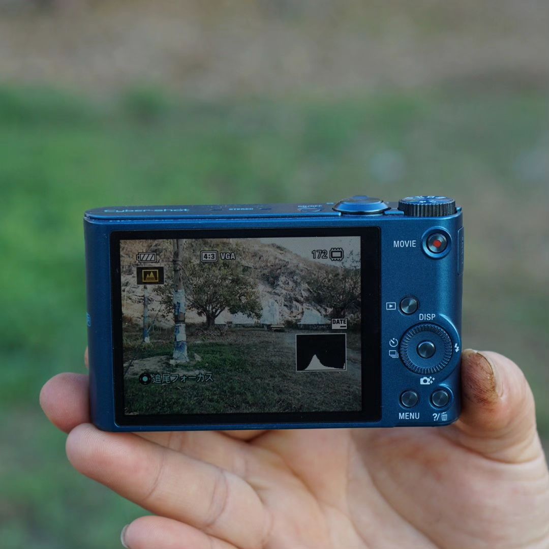 Sony Cyber-shot DSC-WX300 Blue – 18.2 MP Compact Camera | 20x