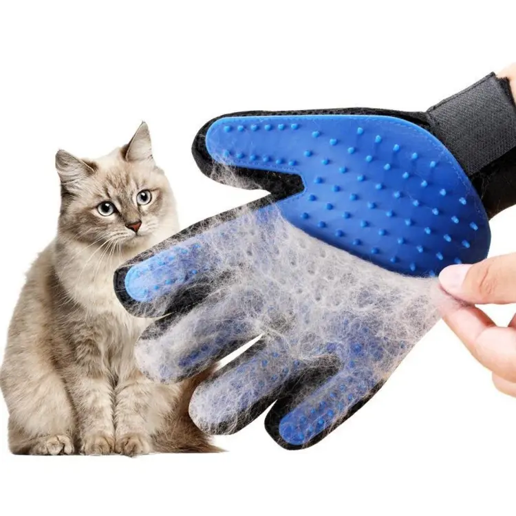 Glove to shop brush cats