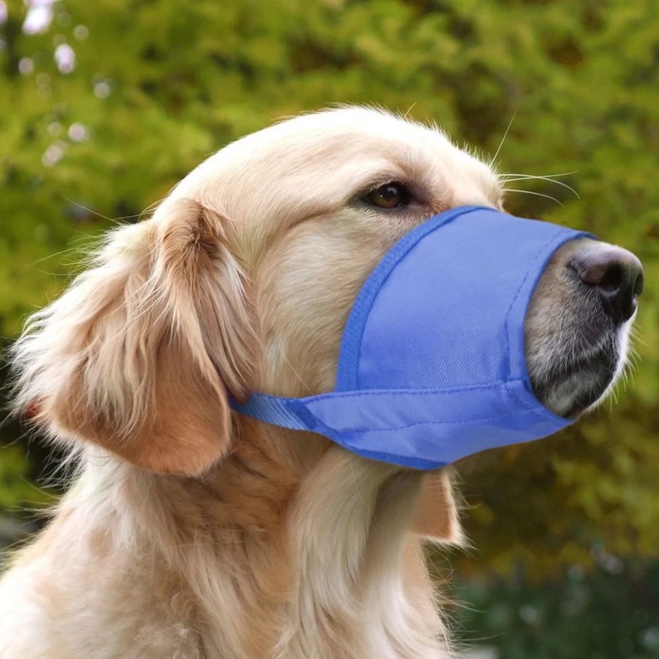 velcro dog muzzle