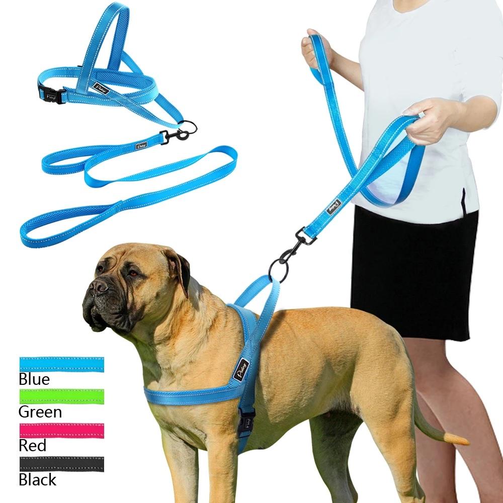 where to buy a dog leash