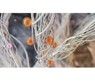 Philips 1000 Series Air Purifier For Medium Rooms Ac1711 12 Philips 1000 Series Air Purifier For Medium Rooms Ac1711