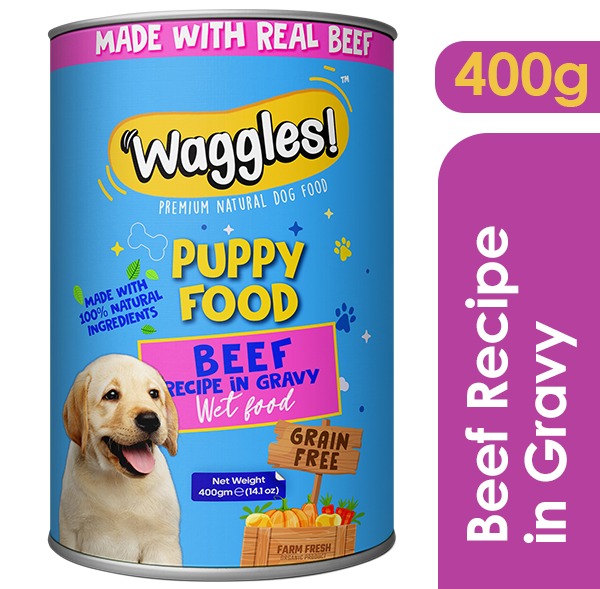 dog accessories daraz