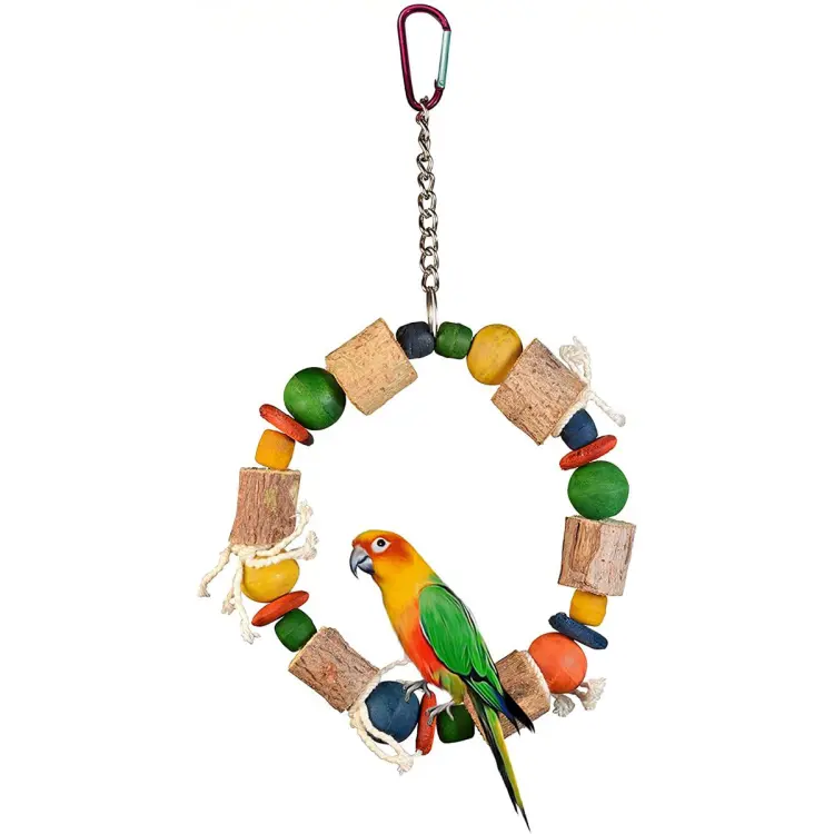 Bird Parrot Hanging Ring Wooden Toy