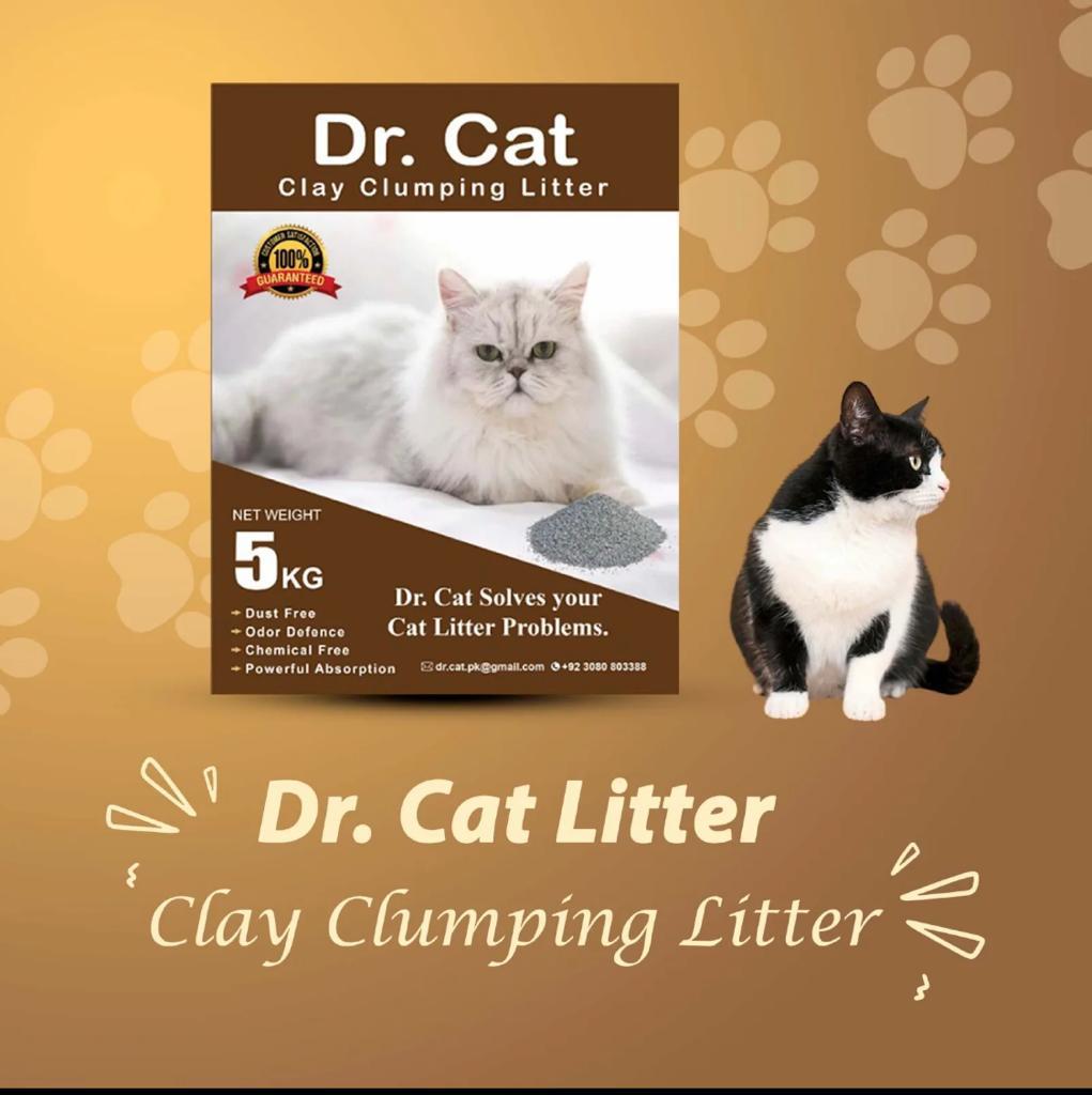 Dr cat hot sale litter