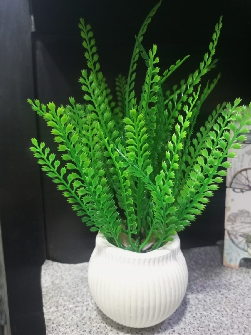 Mini Green Artificial Grass Plant leave with White Pot Decorative Flowers Plants best for Home and office Décor