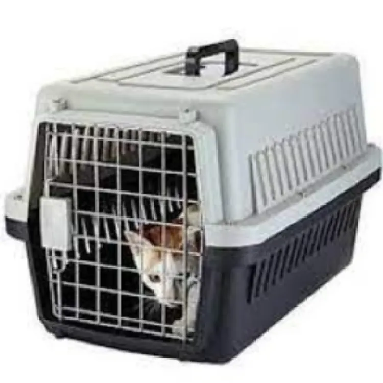 Pet transport sale cage