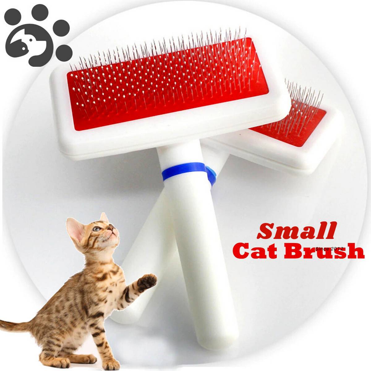 small cat brush
