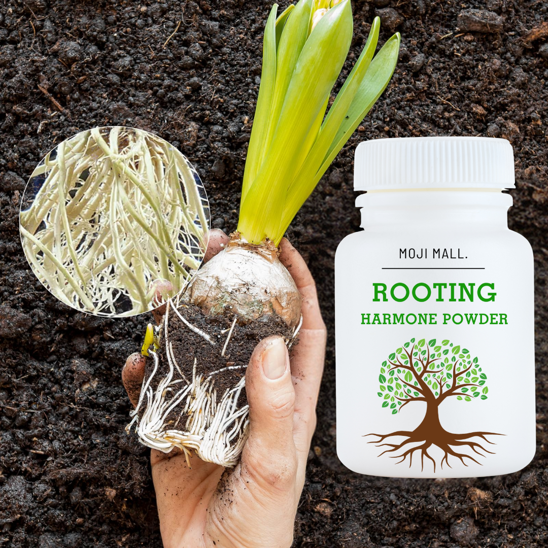 Rooting Hormone Powder for Plants - Rooting Hormone for Cuttings ...