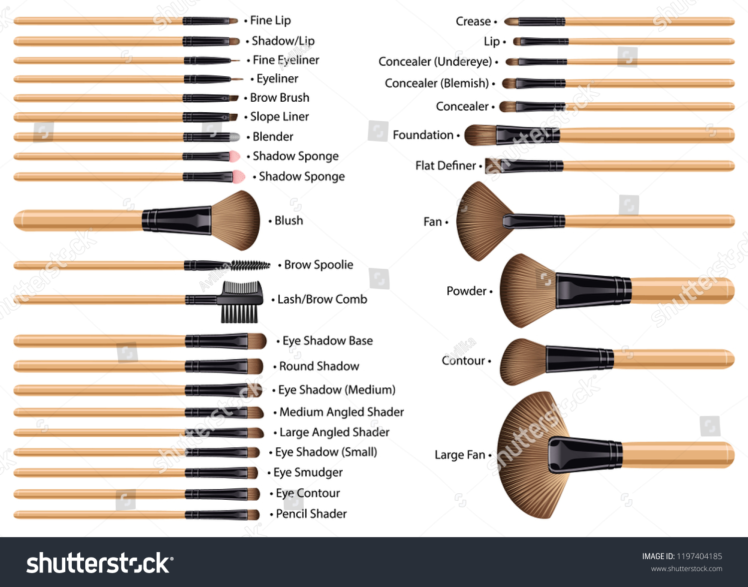 all makeup brushes names