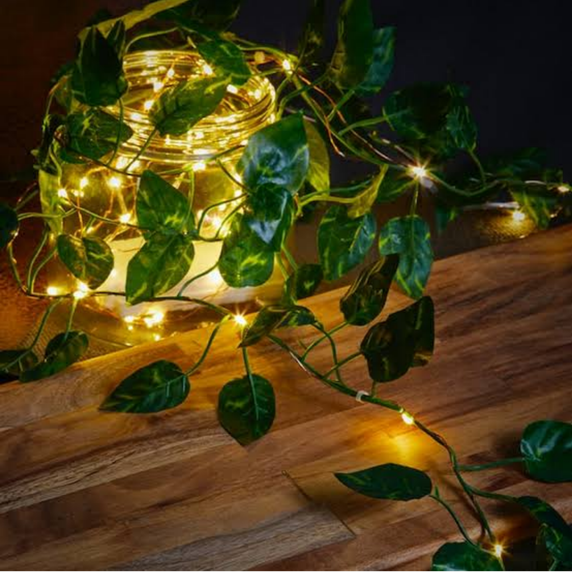PACKIFY  Artificial Plant Leaves bail with LED Fairy Lights Battery Operated - Money Plant Leaf Lights for room decoration wall Hanging flowers