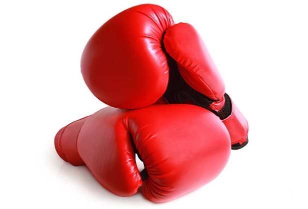 RESPAWN Boxing Gloves Punching Gloves For MMA, Martial Arts, Fighting Sports, Gym, Workout, Training, Punching Bags, Taekwondo For Men and Women - Multicolor