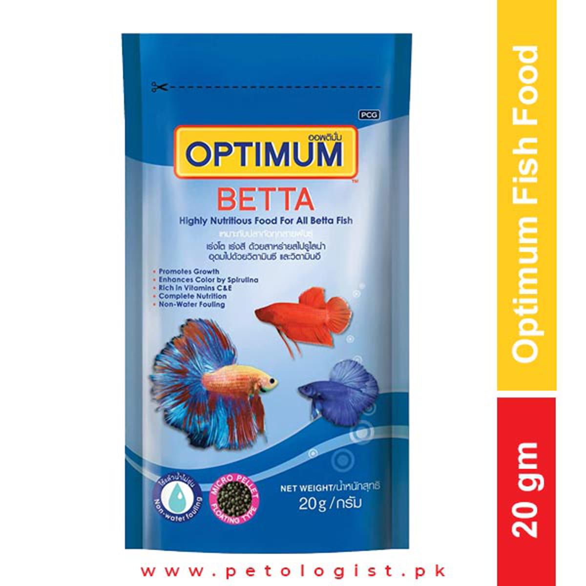 Betta Fish Favorite Food vlr.eng.br