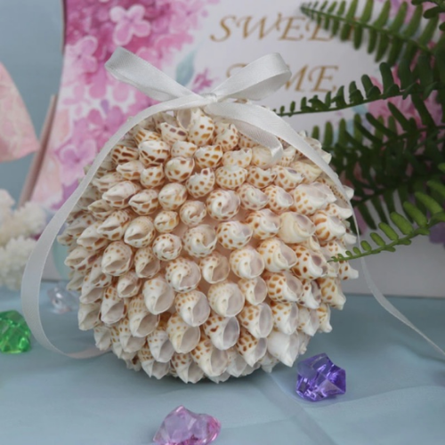 SR Traders 60 Pcs Dry Cleaned Sea Shells