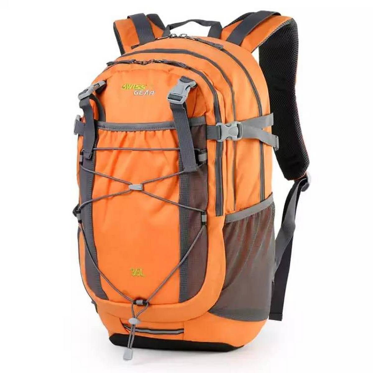 traveler back pack