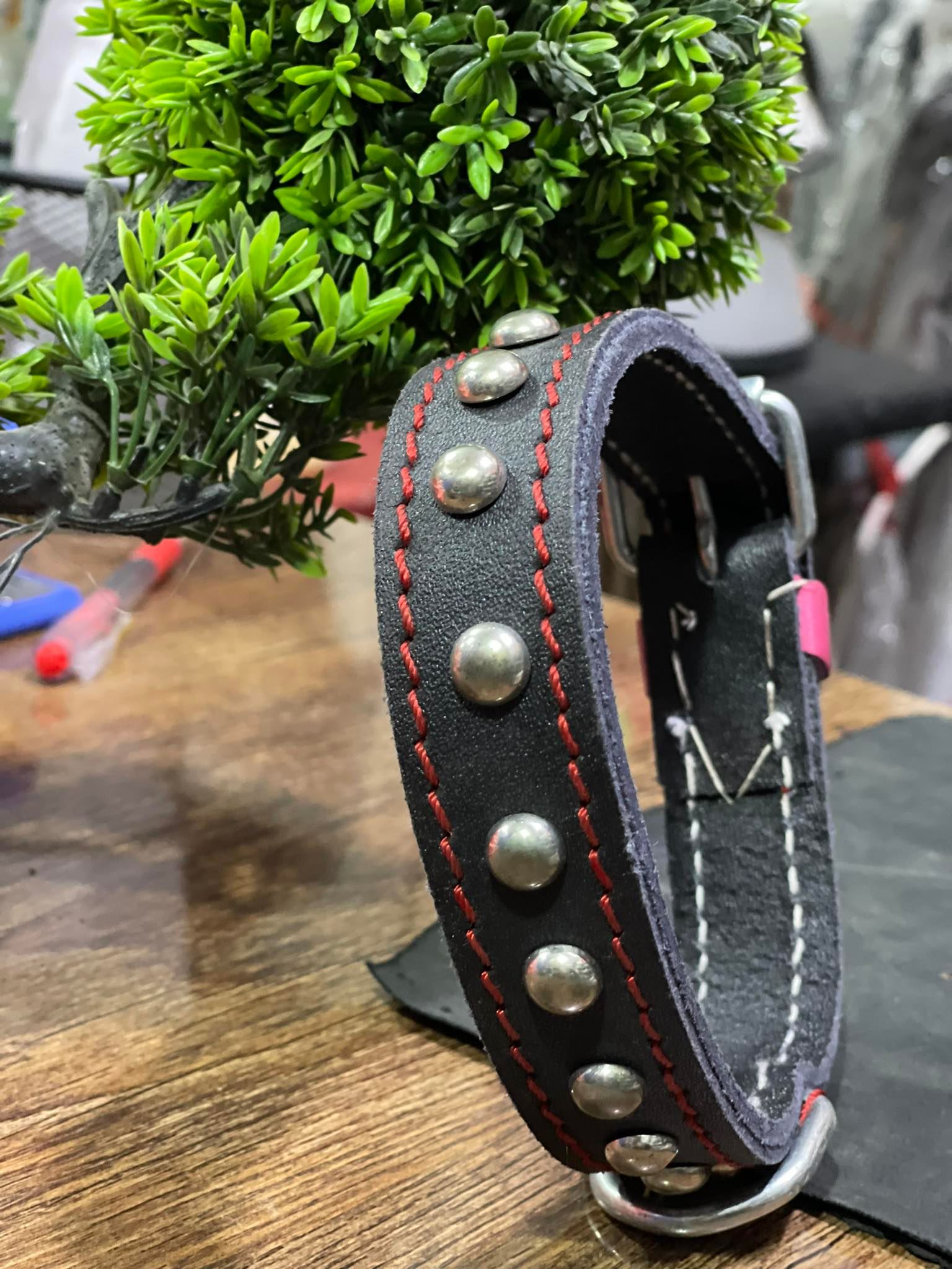 dog accessories daraz