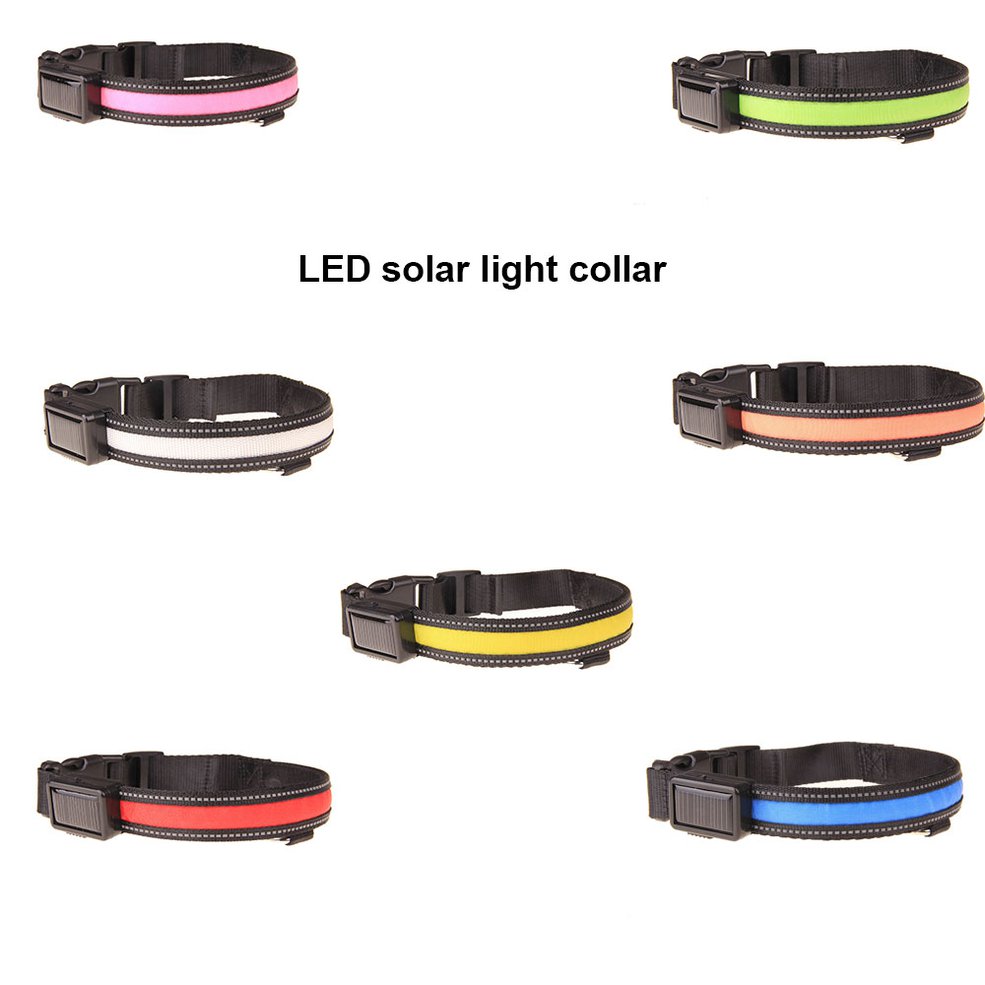 solar powered dog collar