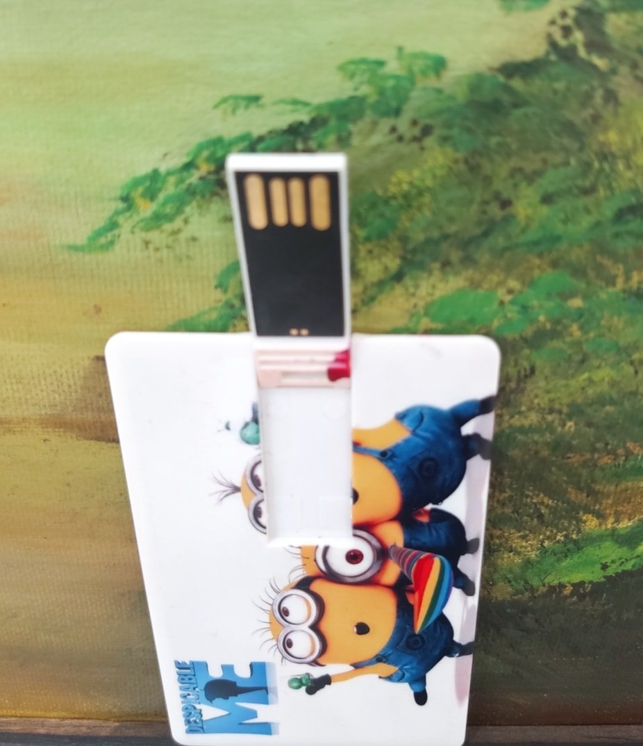 Real Genuine Memory Disk USB Card shaped memory flash Drive with Cartoon Print for Wallets