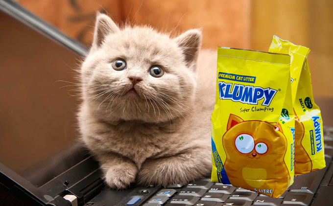 Premium Klumpy Cat Litter 16 Litre