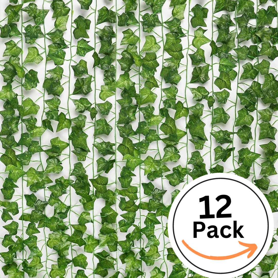 Pack of 12