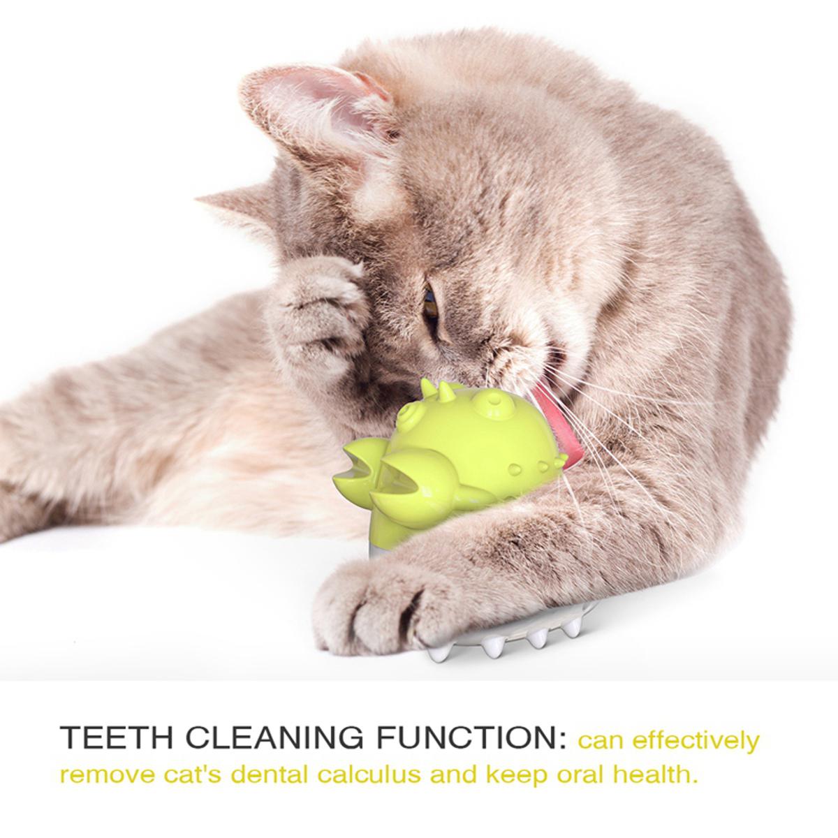 Cat teeth hotsell cleaning toy