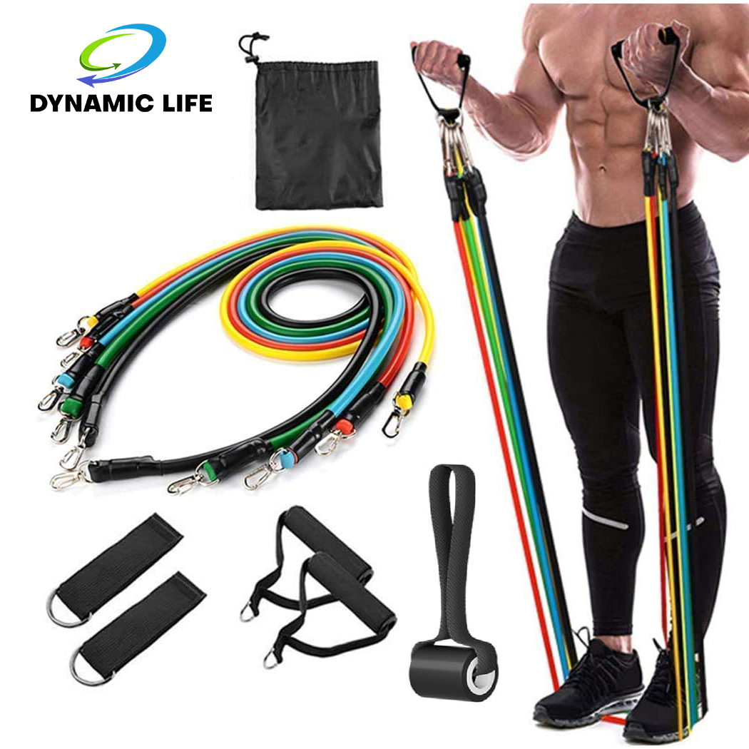 DL 11 PCS Resistance Bands Set for Exercise, Stretching and Workout Toning Tube Kit with Handles, Door Anchor, Ankle Strap  Workout at Home Gym training for Men and Women