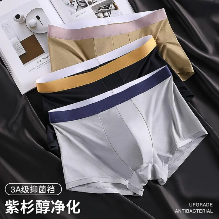 Ice Silk Seamless Boxer briefs For Men Breathable Men's Underwear Plus Size  Boxer For Men Adult
