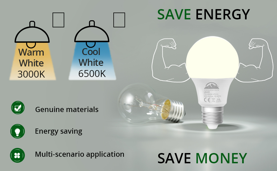 Wbm deals light bulbs