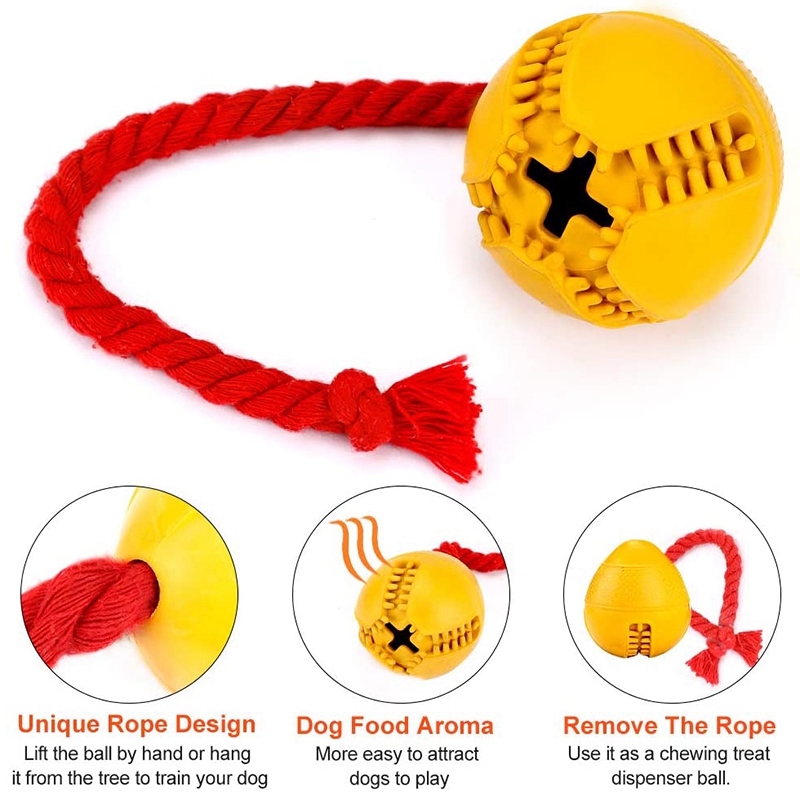 jolly ball dog toy with rope