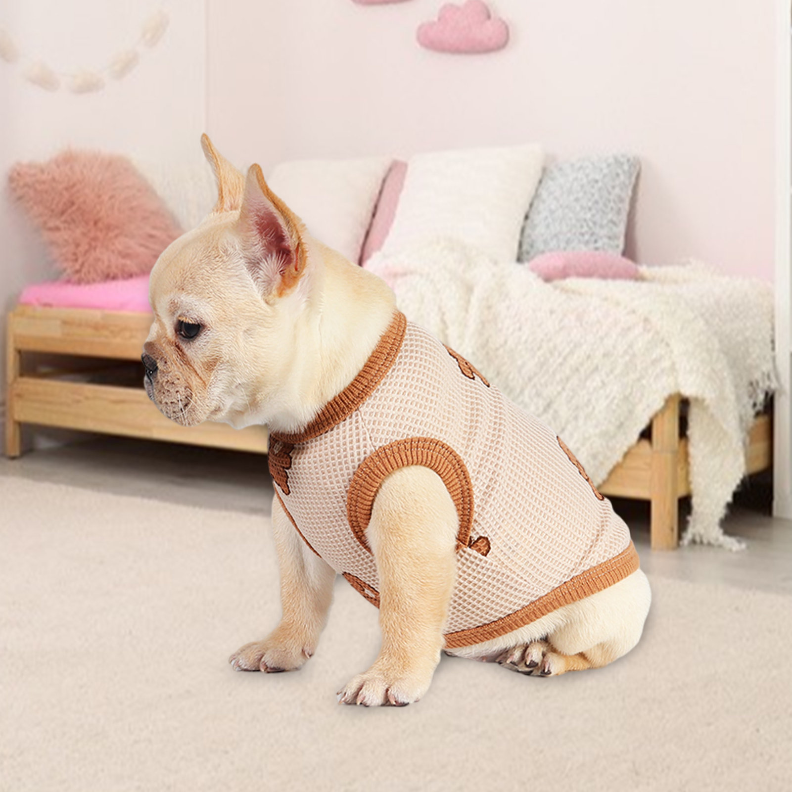 Kmart Dog Clothes Sale 1693610468