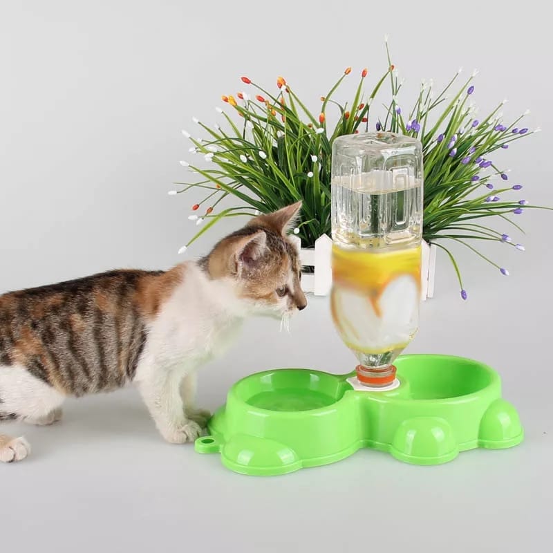 Cat Double Bowl